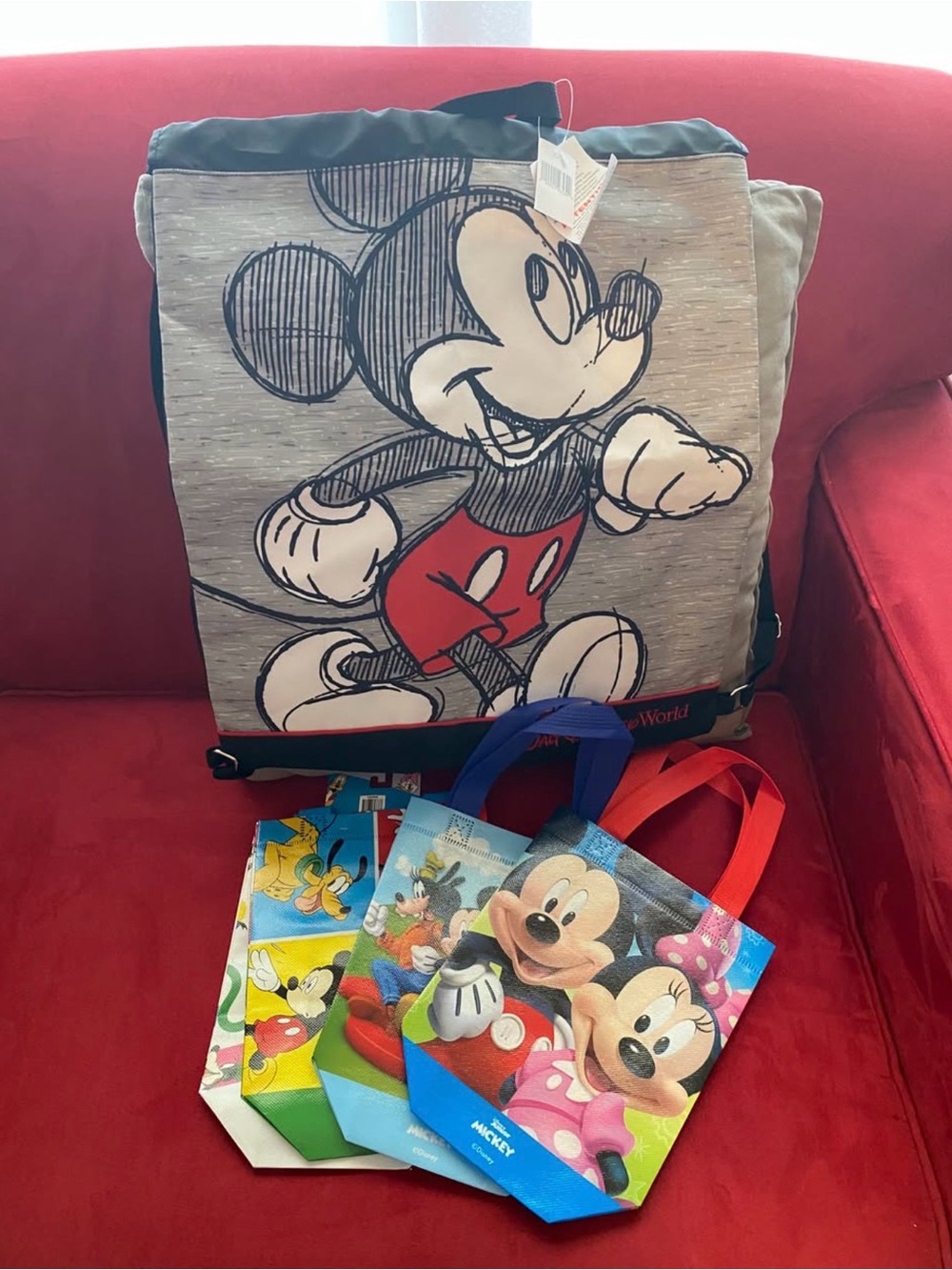 Lot of Disney bags. Drawstring bag and two small reusable bags.